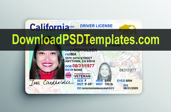 free indiana drivers license photoshop template download
